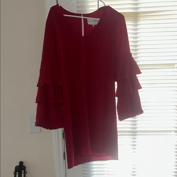 Charles Henry Red Mini Dress - Picture 2 of 4